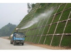 抗洪护坡草种，如何选择？