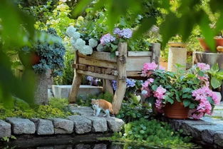 冬天的暖阳，园艺也美丽