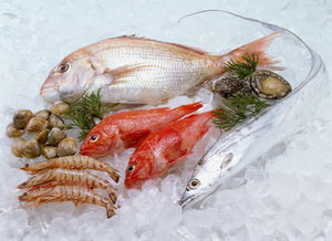 观赏除藻虾品种盘点，水族箱清洁高手图鉴，新手选虾指南，如何挑选适合我的水族箱清洁高手？