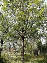 价格影响因素多