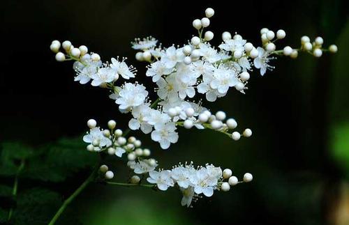 ※ 个人实践发现