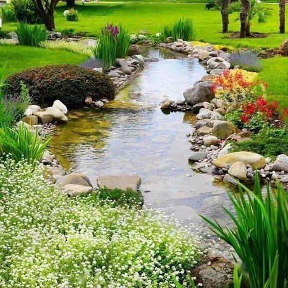 夏日花语：清凉与温柔