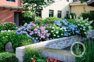 植物配置的重要性