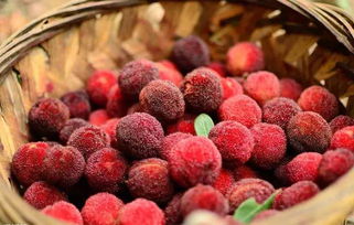 关键发现与处理方案