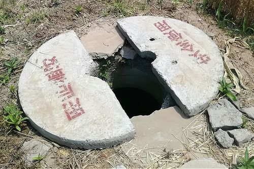 井水：农药稀释的神秘助手？