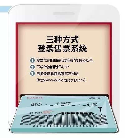 雪松种子网购靠谱指南：实体店与网购大对比