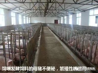 訾春波：猪舍排气化学净化
