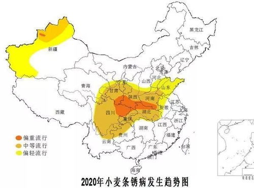 发病规律,让你一眼看穿