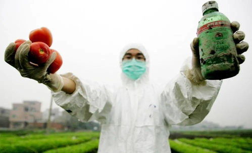 治理六六六，难啊难