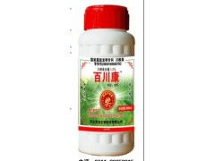 常见药物大盘点