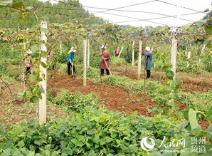 两千米土地上的种植奥秘