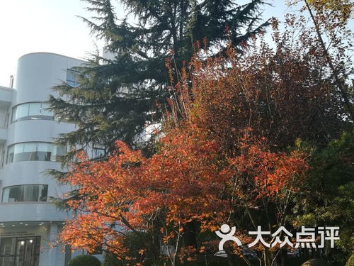 自给自足：种树也嫩赚大钱