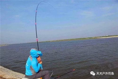 野钓前打竿与手竿，哪种更适合新手