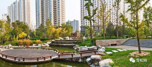 生态环保：美丽中国建设的基石