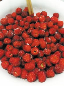 一家五口摘打农药的果子，这种果子对健康有影响吗那个？