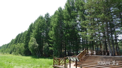 一、园地与林地的定义