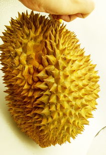 买榴莲价格多少一斤？别被坑