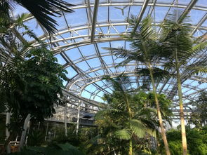 Q：北方冬天咋整？