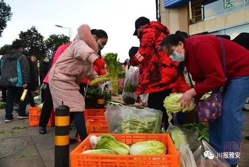 桂湖街菜市场豌豆角售价10元一斤