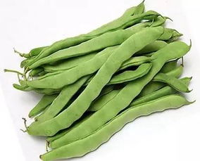 豆角、 韭菜、蚕豆：加起来还不到十块