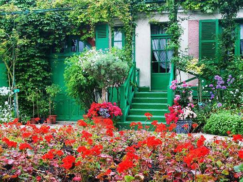 院子里的花儿选什么这个？我来给你支个招