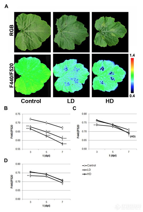 2. 图像采集与分析