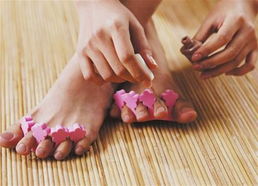 花卉根部的秘密：修剪后的清洁消毒大揭秘