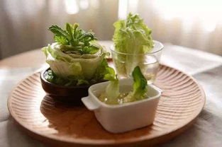 ran后是容器， 得选啥样的