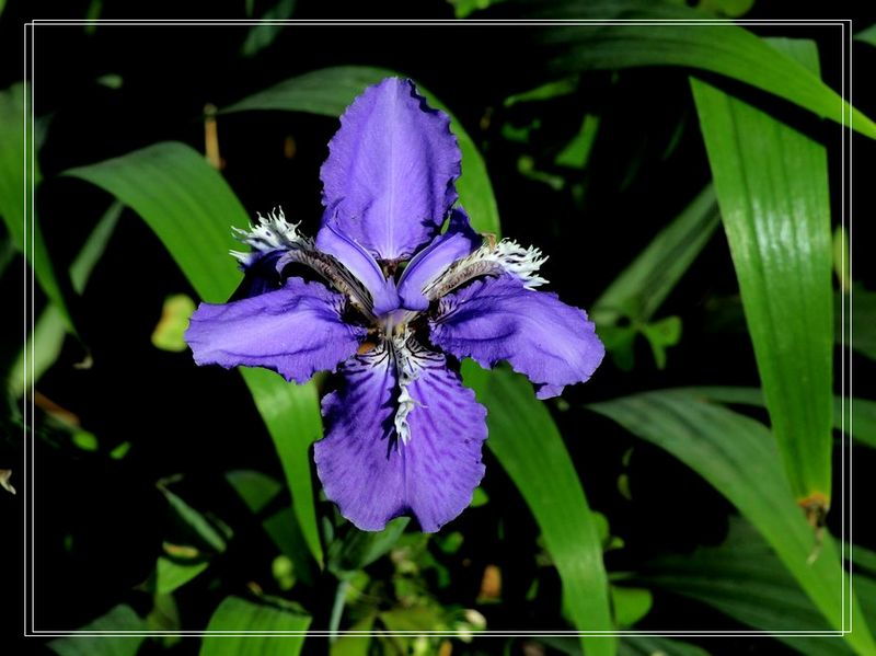 温度控制：25℃以上就休眠，你真的了解吗？