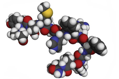 阿米西达的用途
