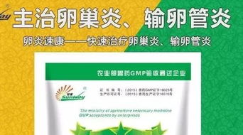 “创新禽病防治方案，高效支原体克星