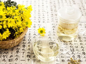 大枣菊花茶，养生功效多吗