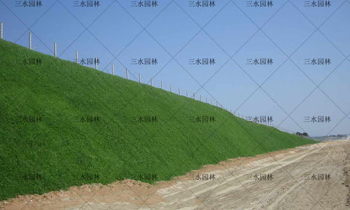 防范为主：翻地前撒生石灰的好处