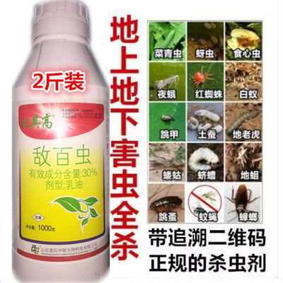 地下害虫防治，9080杀虫剂表现如何？