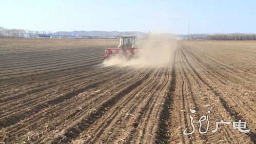 冻土里的秘密，你知道多少？