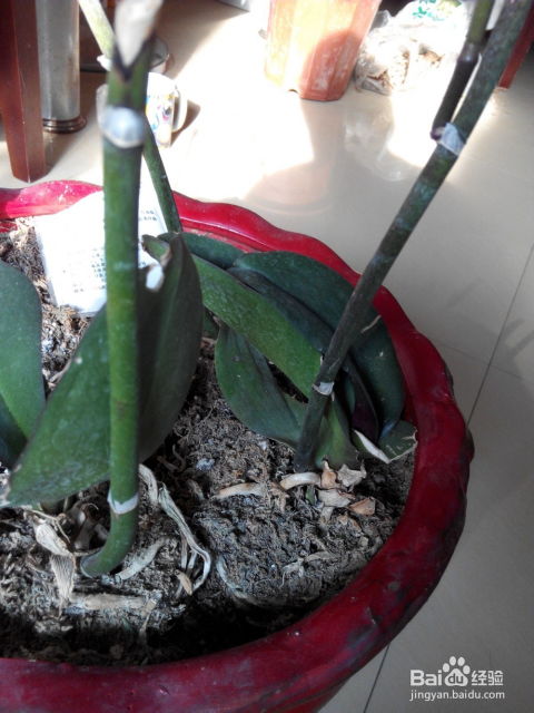 新手必学三件套：