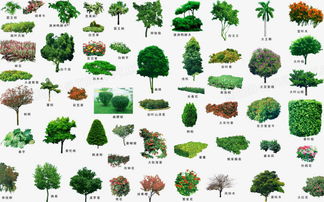 五、 适用场景：公园、广场、学校、机关单位等