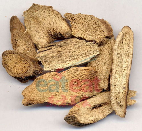 杀虫剂的作用机理