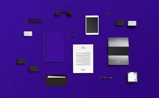 VI品牌设计在市场营销中的应用