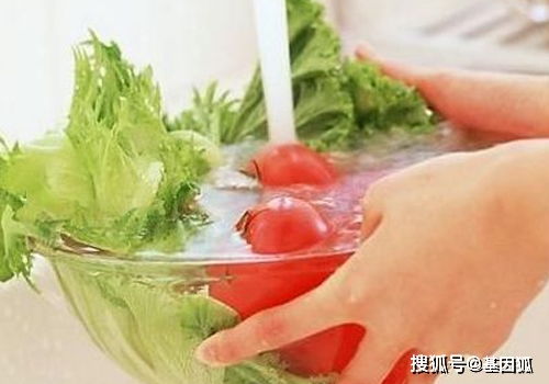 检测蔬菜农药残留的小秘密