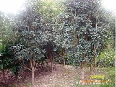 价格因多因素而定