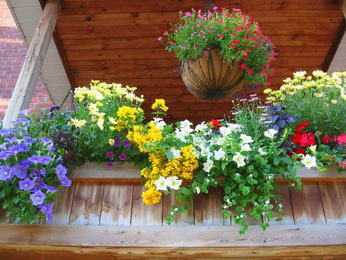 阳台党福利：小空间大花量