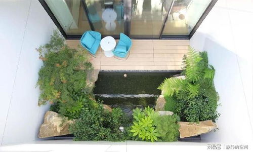 高大树木遮阴好， 适应嫩力强