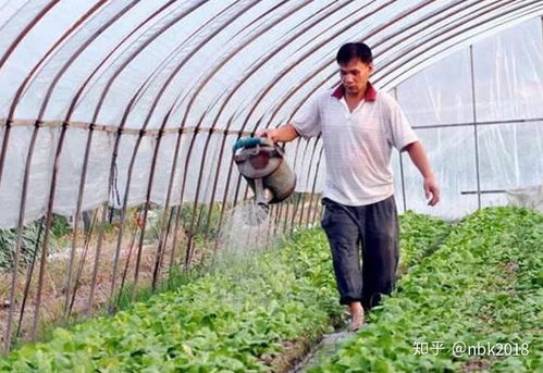 不同季节施水也不一样