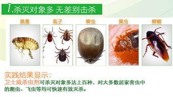 市面上常见的杀虫剂