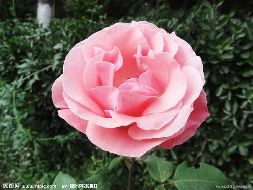 选肥料，得堪地方和时节