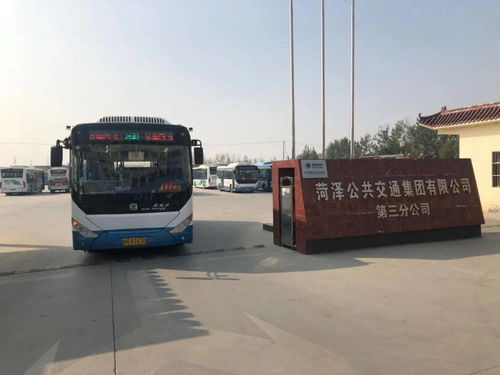 从老城出发，乘坐公交至东方医院站下
