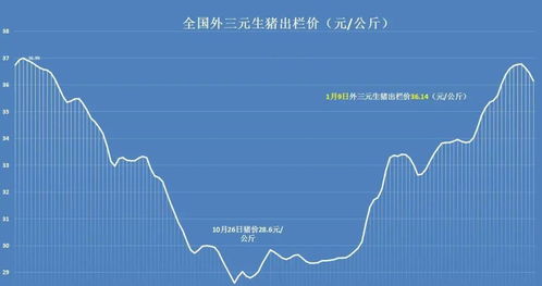 明日猪价上涨，是受哪些因素影响导致猪肉价格持续攀升呢？