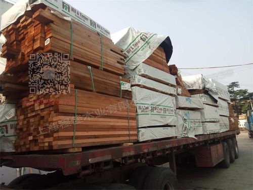 市场动态：雪松价格受哪些因素影响