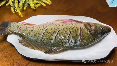 黄金桂：我国特色淡水鱼种